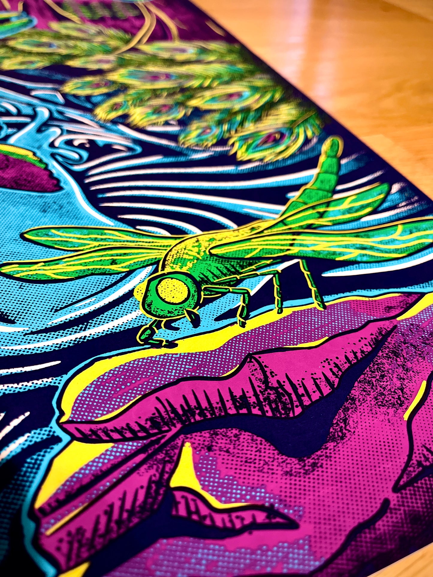 The Forefeathers Summer ‘24 Print